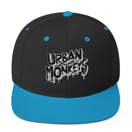 METROPOLITAN PULSE SNAPBACK HAT URBAN MONKEY